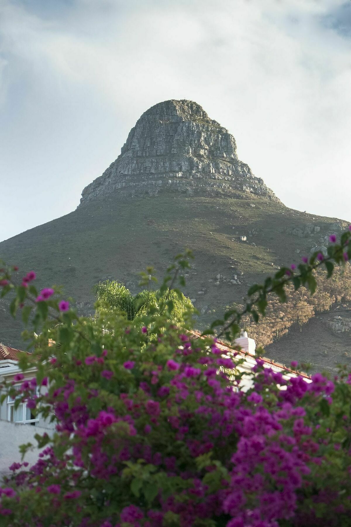 Rhonda'S Manor Boutique Guesthouse Cape Town Luaran gambar